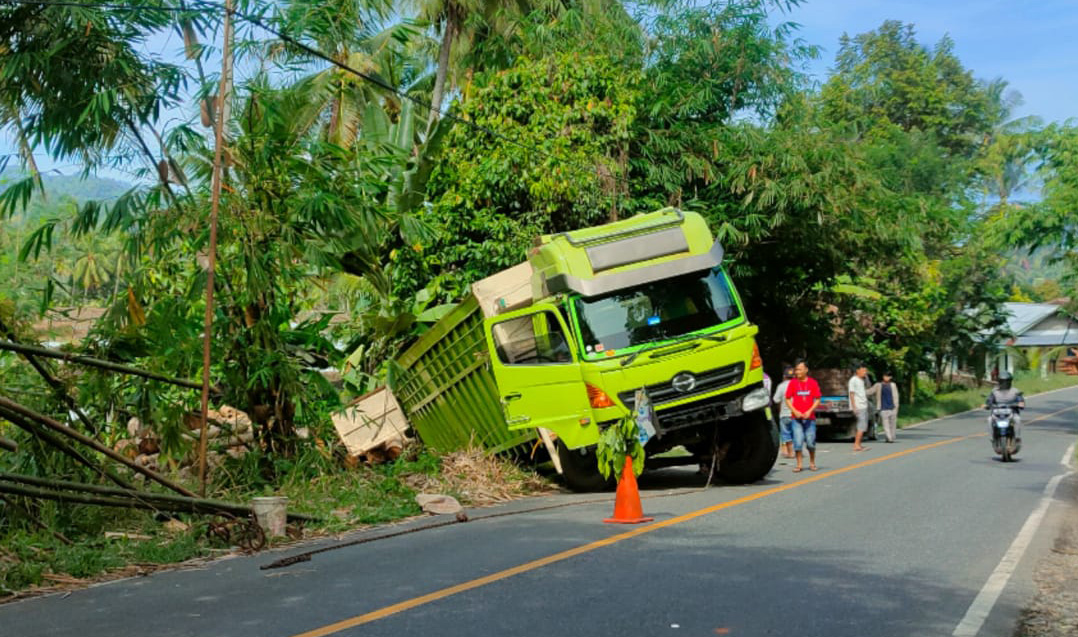 Niat Bawa Truk ke Bengkel, Eh Malah Masuk Siring di Jalinbar Tanggamus