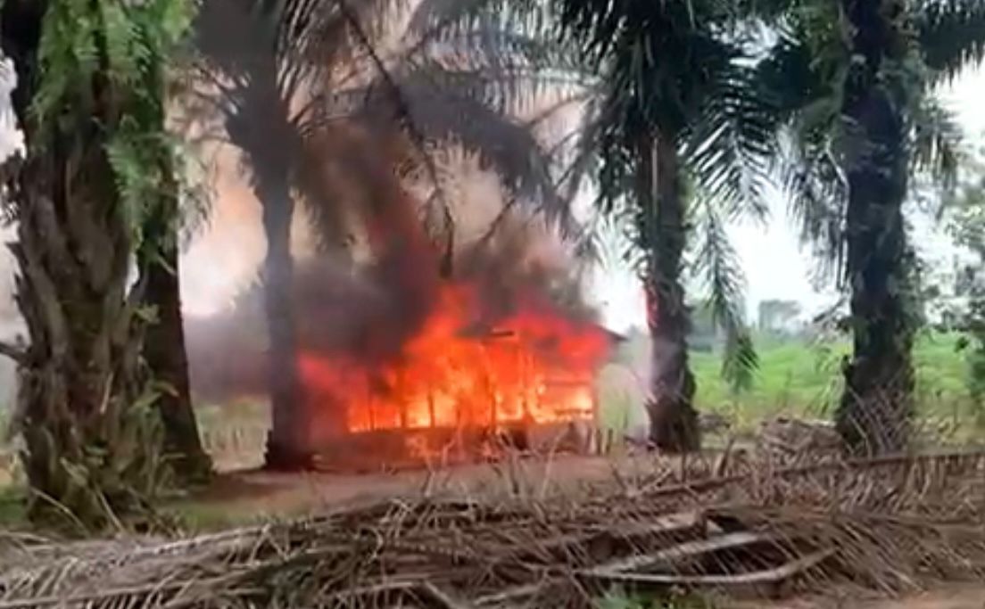 Polres Lamteng Bakar Gubuk Tempat Pesta Narkoba Sekaligus Amankan 3 Tersangka