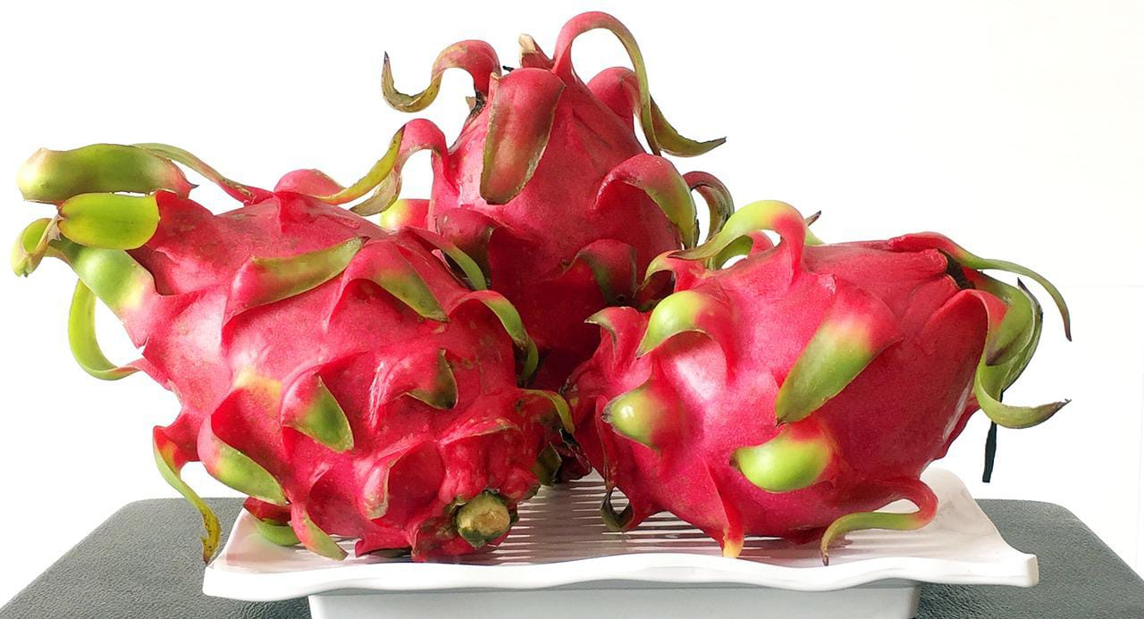 Cegah Anemia Selama Puasa Ramadhan, Konsumsi 3 Minuman Ini Saat Sahur