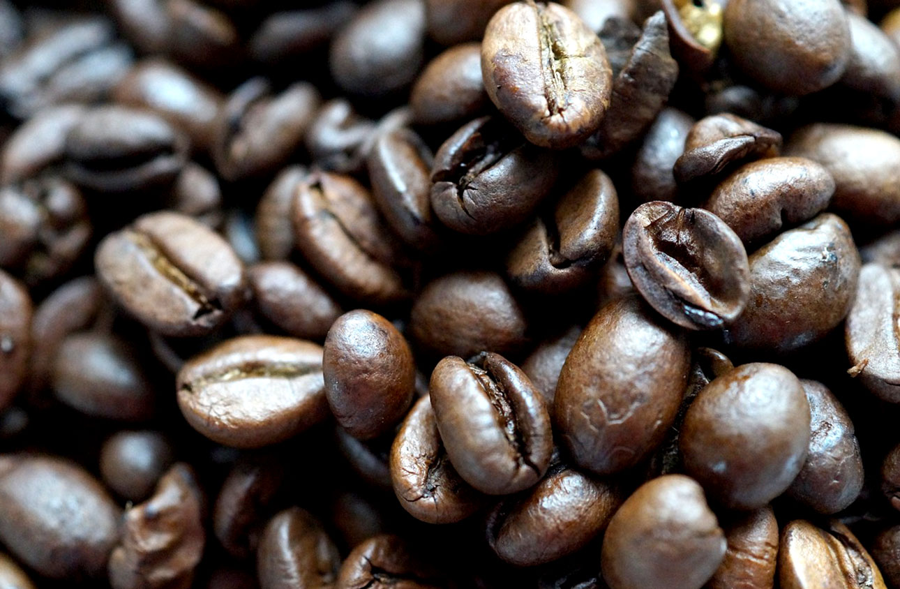 Bukan Tanggamus, Ini Kabupaten Penghasil Kopi Terbesar di Lampung