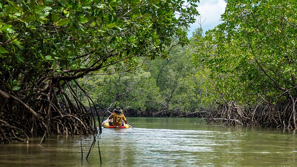 Garap Walking Track Hutan Mangrove, Ini Langkah Awal yang Dilakukan Dinas Pariwisata Bandar Lampung