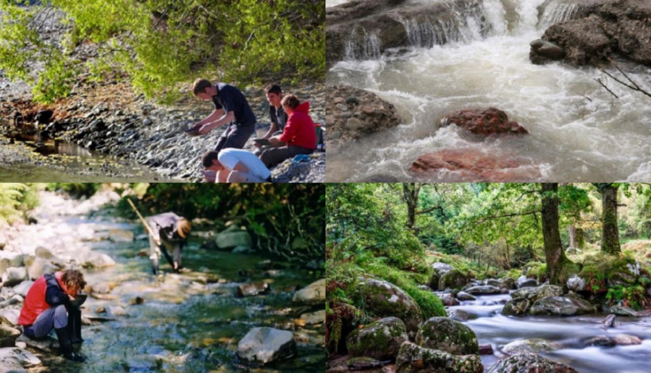 Wow, 6 Sungai Ini Mengandung Emas, Ada yang Temukan Sampai 20 Karat