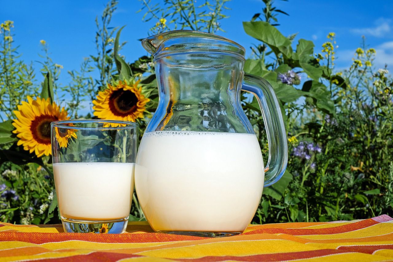 Simak Yuk, Manfaat Susu Bagi Kesehatan Tubuh, Ternyata Kaya Nutrisi dan Vitamin Loh