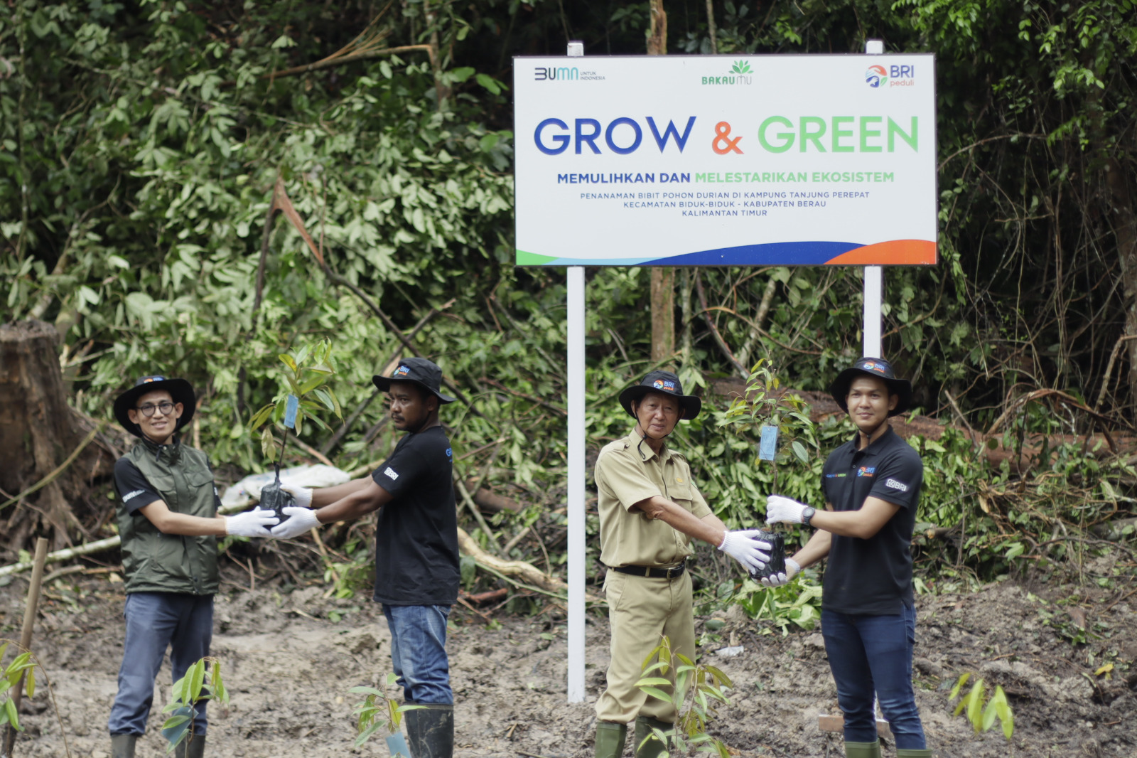 BRI Peduli Grow dan Green Salurkan 2.500 Bibit Pohon Durian di Berau