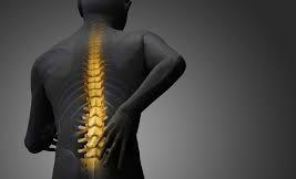 6 Cara Menjaga Kesehatan Tulang Agar Terhindar Dari Penyakit Osteoporosis