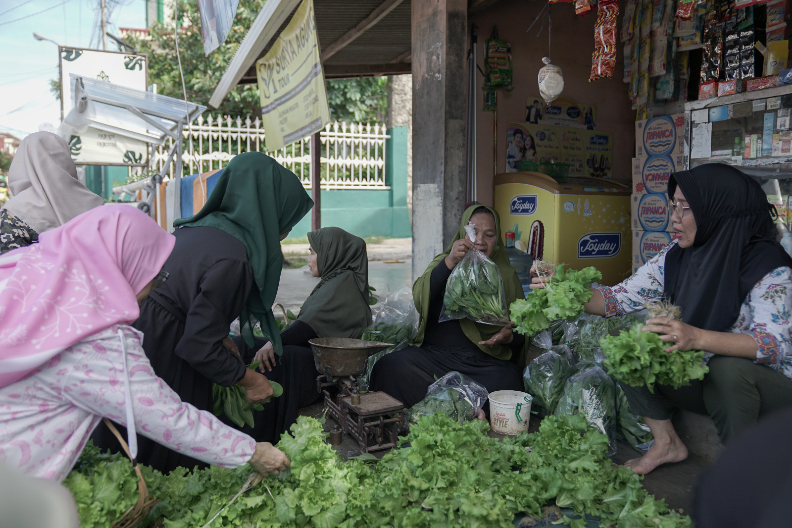 Program BRInita Sulap Lahan Sempit Jadi Urban Farming yang Produktif