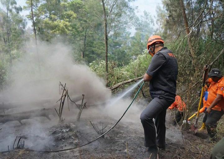 Niat Abadikan Momen Bahagia Berujung Petaka, Begini Kabar Terbaru Savana Bukit Teletubbies di Gunung Bromo