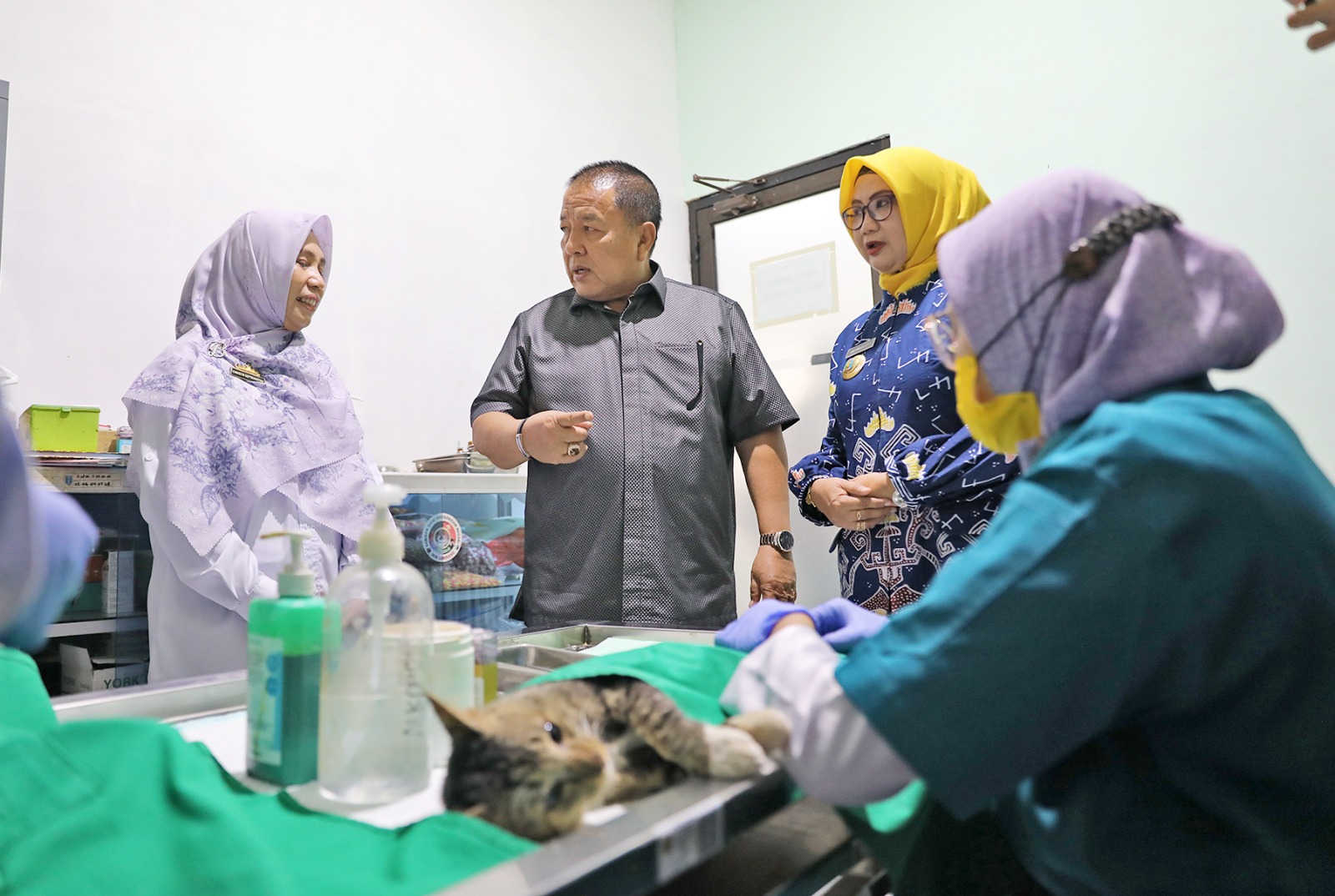 Pemprov Lampung Bakal Miliki Rumah Sakit Hewan, Yuk Kepoin Lokasinya