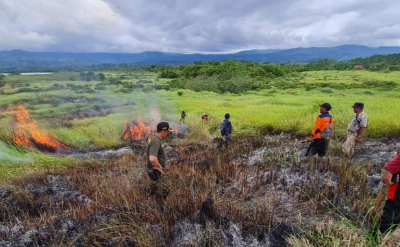 Puluhan Hektare Padang Savana di Destinasi Wisata Lampung Barat Terbakar
