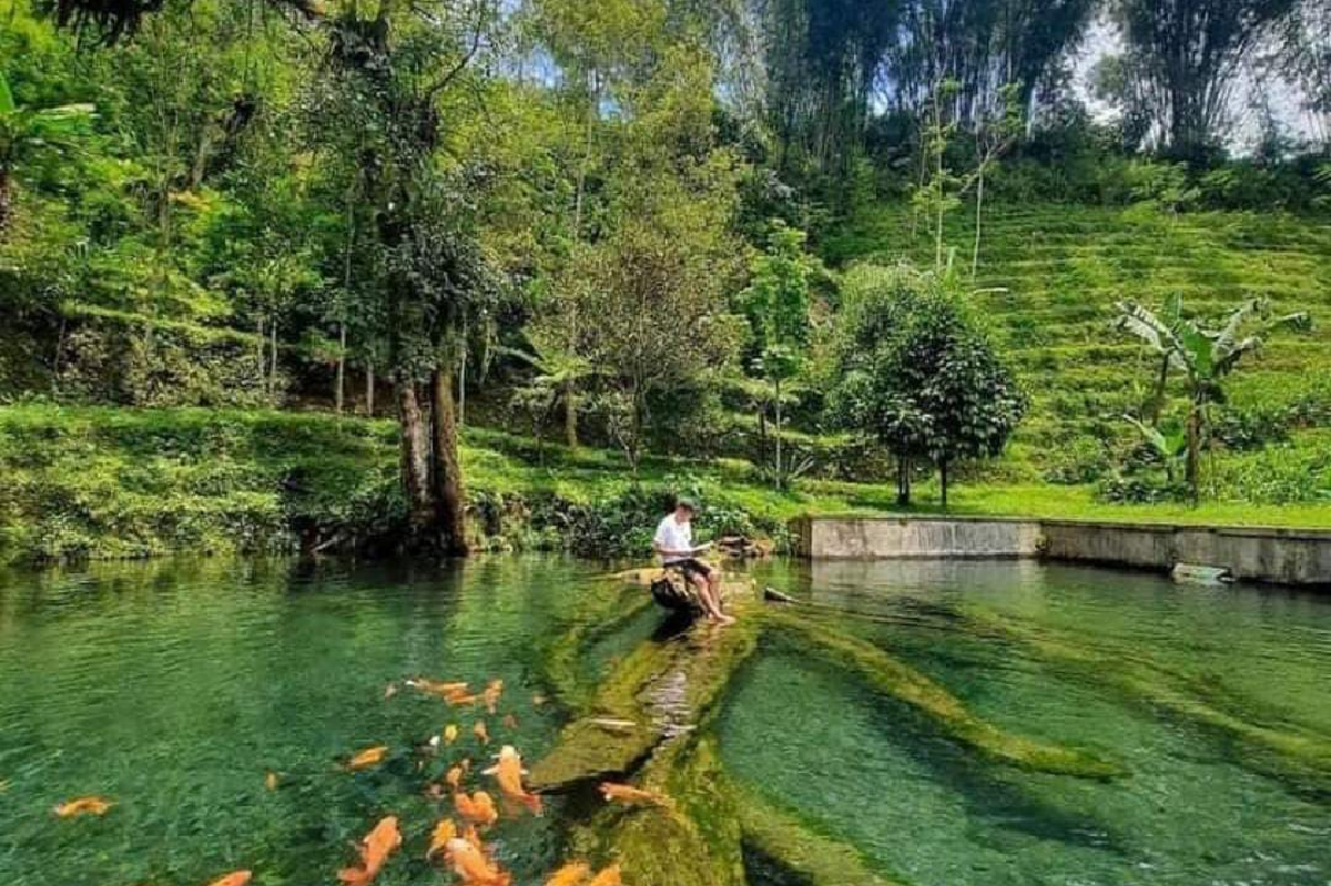 Tak Hanya Dieng, Wonosobo Jawa Tengah Punya Banyak Wisata Lainnya yang Harus Banget Kamu Datangi