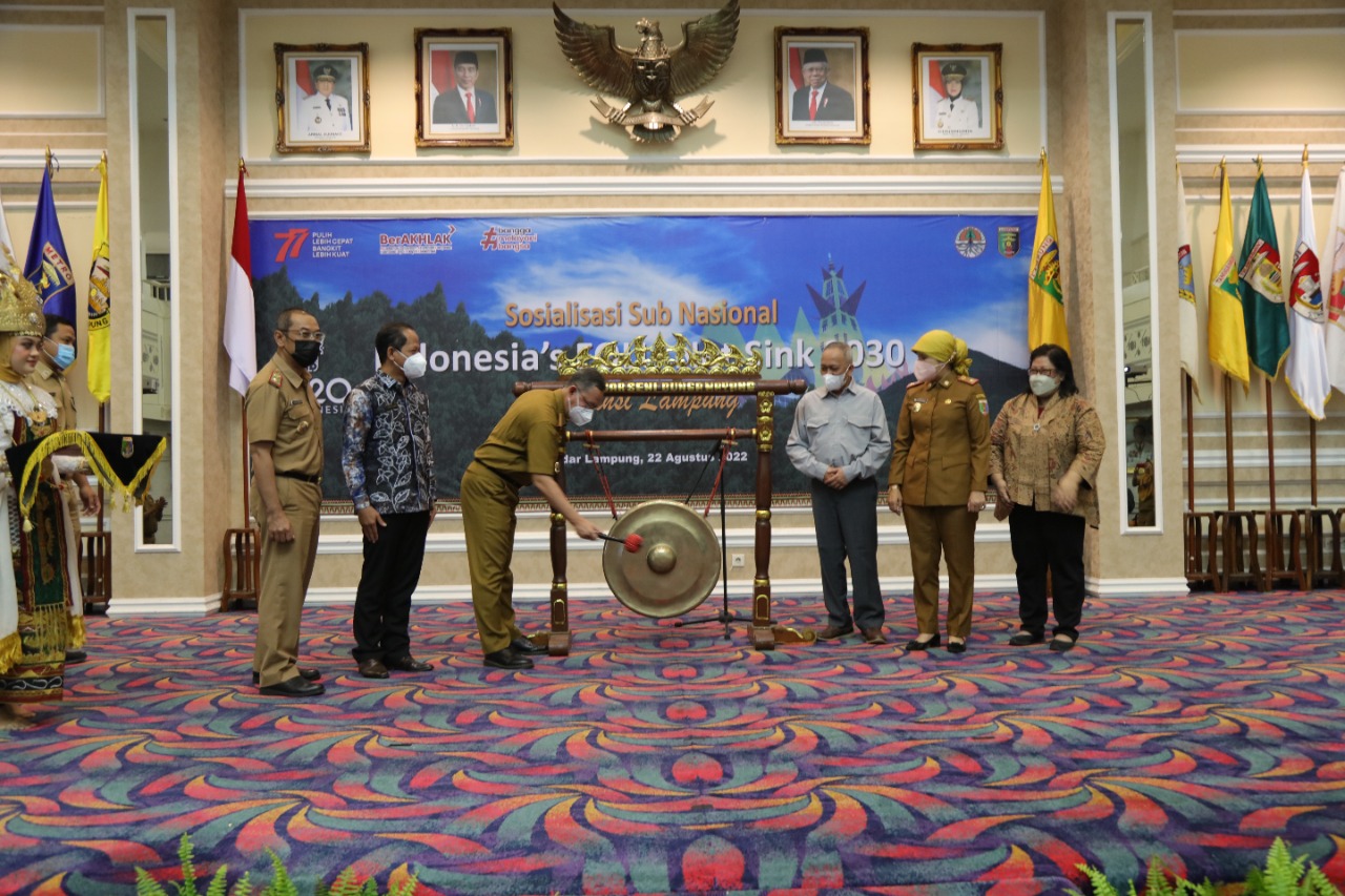 Sekprov Buka Sosialisasi Pengurangan Emisi Gas Rumah Kaca Sektor Kehutanan di Lampung