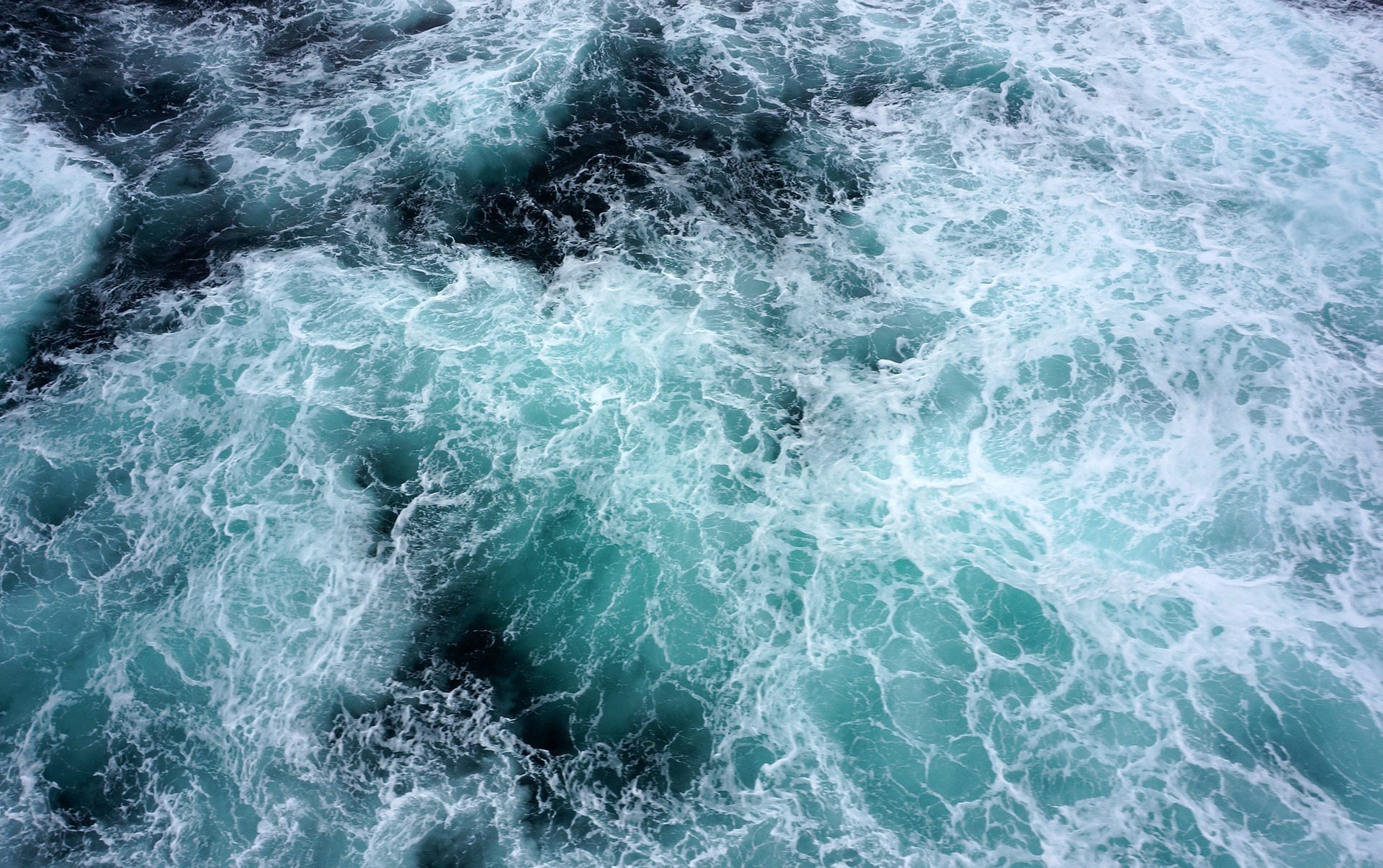 Mengenal Thalassophobia : Fobia Akan Perairan Yang Luas Dan Dalam
