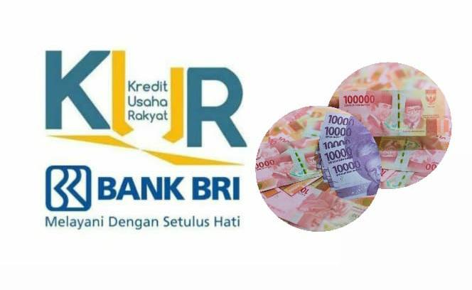 Perbandingan Plafond Pinjaman Saldo Dana KUR Bank BRI, Jenis KUR Mana yang Limitnya Lebih Besar?