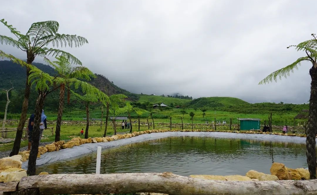 Menggala Ranch Hidden Gems nya Banyumas, Disebut Mirip New Zealand dan Bukit Teletubbies