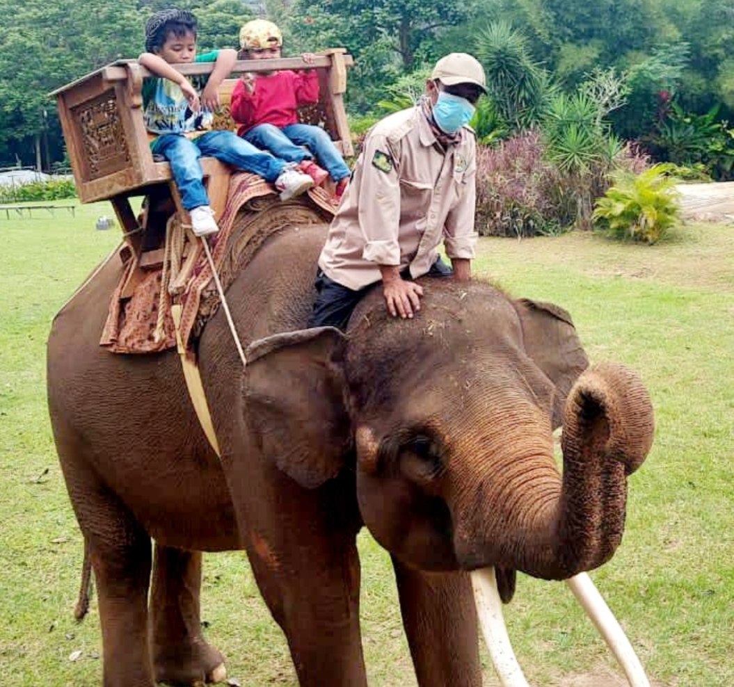 6 Taman Satwa di Indonesia Cocok untuk Edukasi Anak, No. 3 di Lampung Jaraknya 127,8 KM Lewat Tol Bakauheni