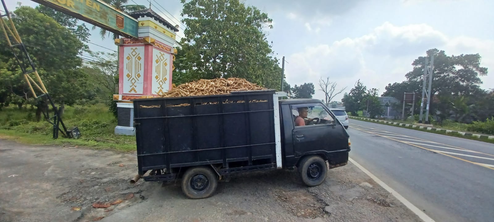Harga Singkong Meningkat, Petani Lampumg Timur dapat Tersenyum