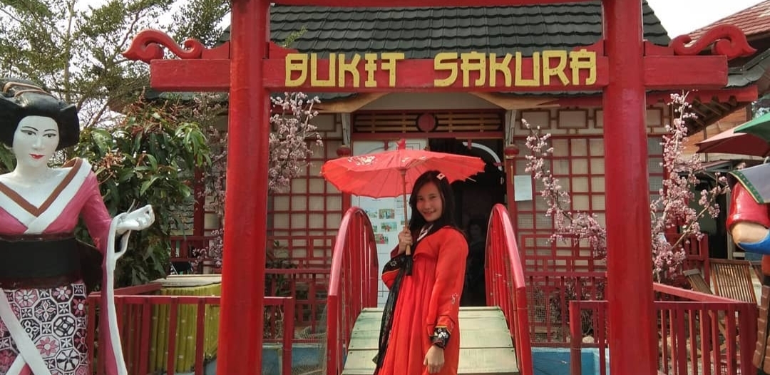 Daftar Wisata Sakura di Lampung, Cocok Jadi Rekomendasi Libur Lebaran Bareng Keluarga