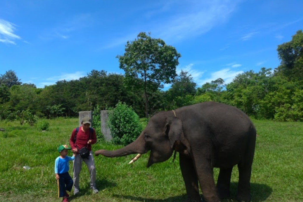 Camping dan Konservasi Alam Di Wisata Margarahayu, Wisata Alam di Lampung Timur, Ada Jeep Elephant Park