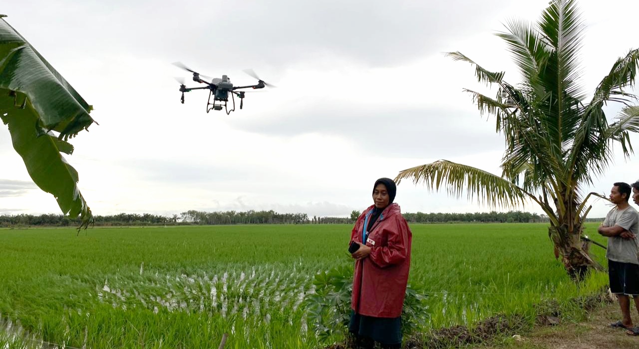 Jadi Lebih Efektif, Petani di Mesuji Lampung Gunakan Drone untuk Menyiram Pupuk