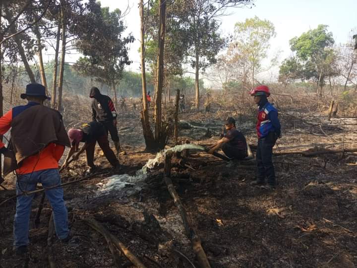 Ada 5 Kasus Kebakaran Lahan Sepanjang Musim Kemarau di Mesuji