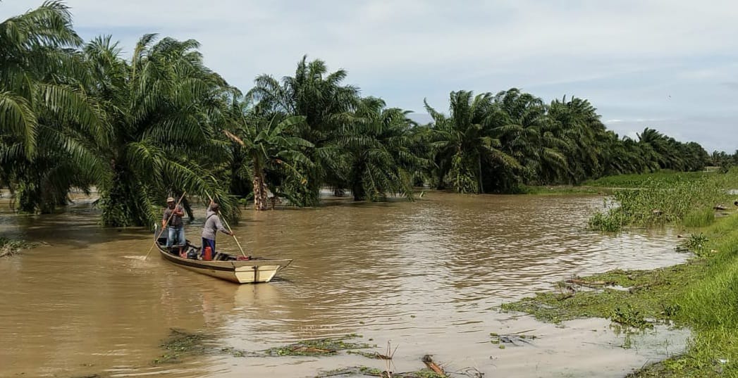 Ratusan Hektar Sawah dan Belasan Rumah di Pasir Sakti Lamtim Terendam Banjir