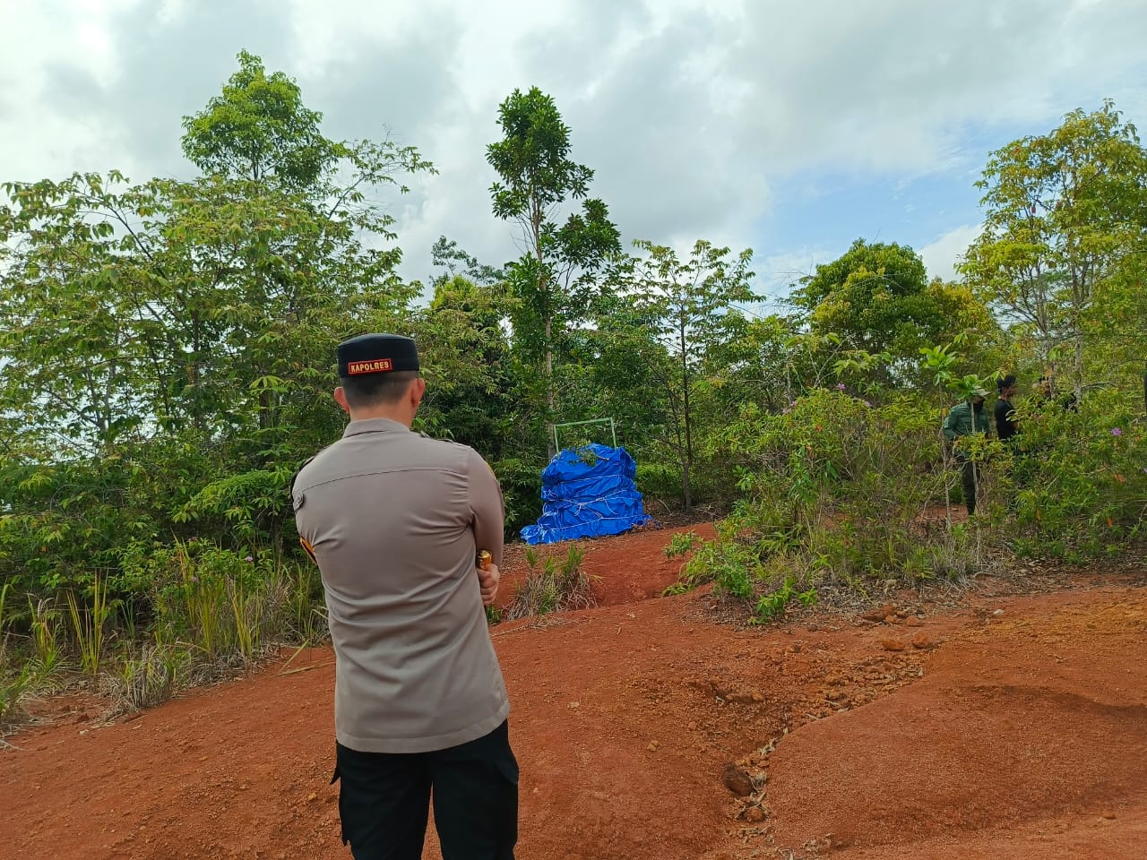 Harimau Sumatera yang Ganggu Warga di Pesisir Barat Akhirnya Terperangkap