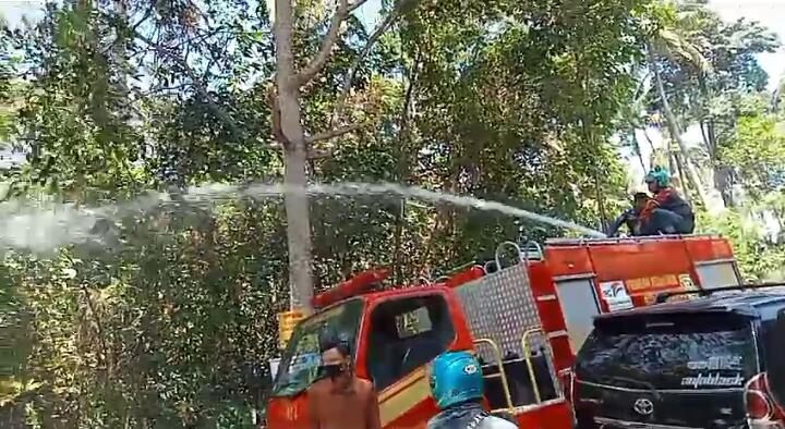 Dalam Sehari, 4 Kebakaran Lahan di Bandar Lampung, Berikut Titik Lokasi dan Dugaan Penyebabnya