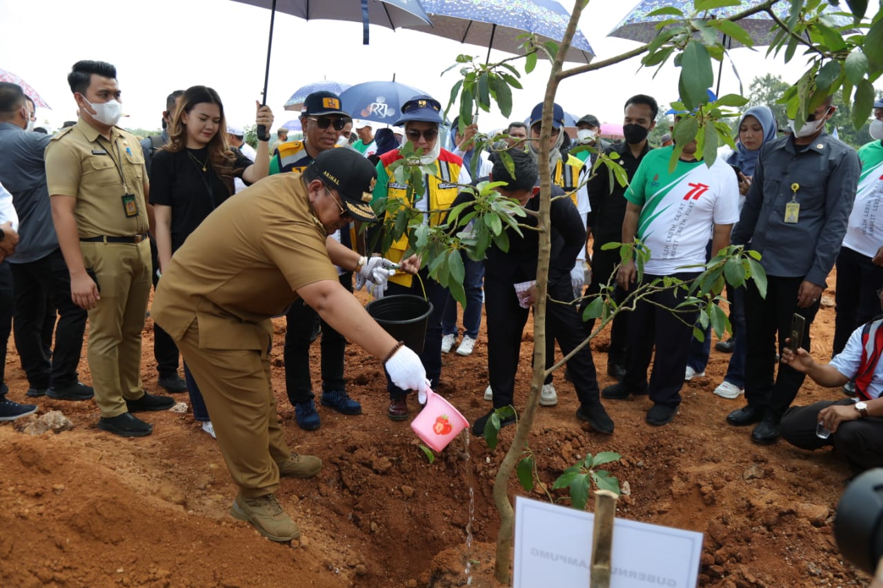 Gubernur Arinal Djunaidi Tanam Ribuan Bibit Pohon di Bendungan Margatiga