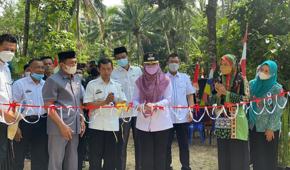 Bupati Tanggamus Resmikan Jembatan Hasil Swadaya Masyarakat