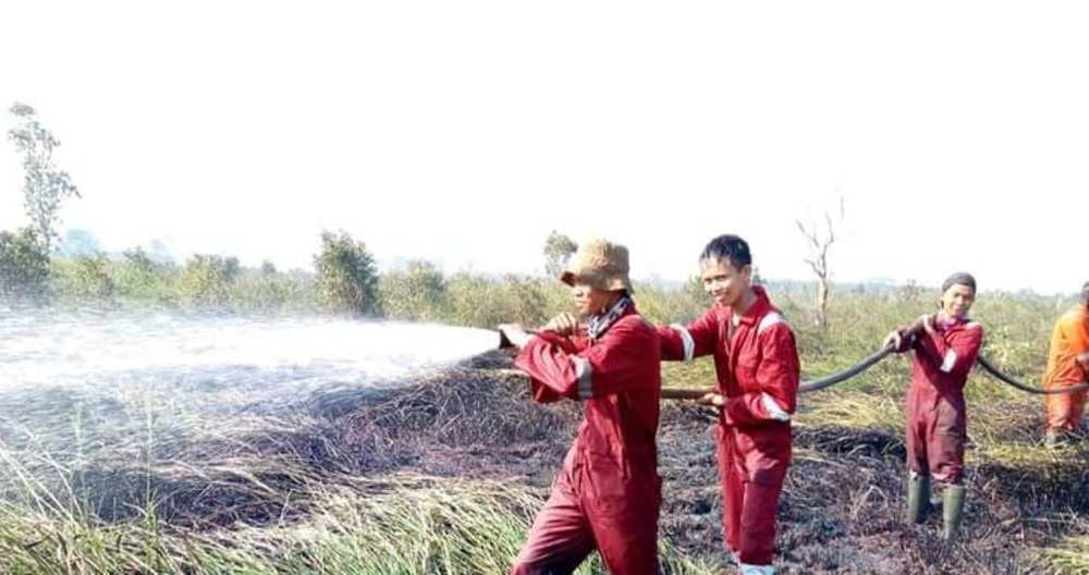 Waspada! Ini Wilayah Mesuji yang Rawan Kebakaran Lahan Gambut