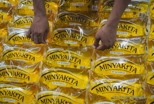 Stok Masih Aman, Segini Harga Minyakita di Pesisir Barat