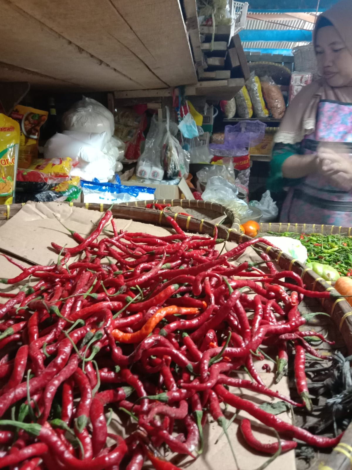 Harga Cabai di Pesisir Barat Naik, Rawit Merah Rp 70 Ribu per Kilogram