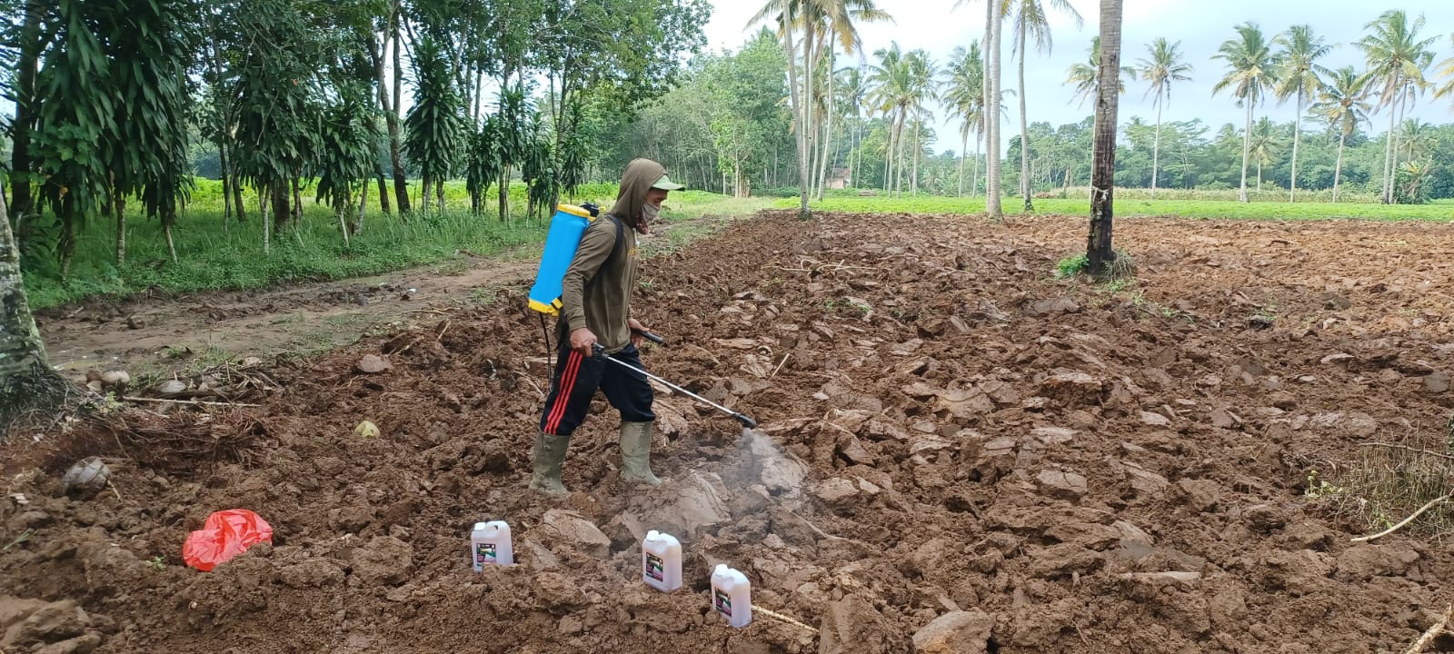 Ternyata, Ini Penyebab Pupuk Subsidi Langka dan Solusinya