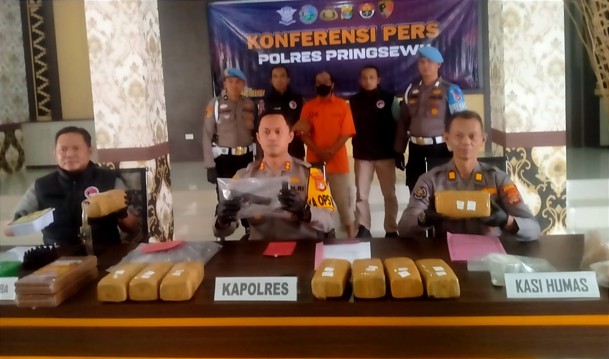 Edarkan Ganja Dalih Buat Obat, Warga Pringsewu Lampung Pernah Belajar Ekstraksi di Belanda