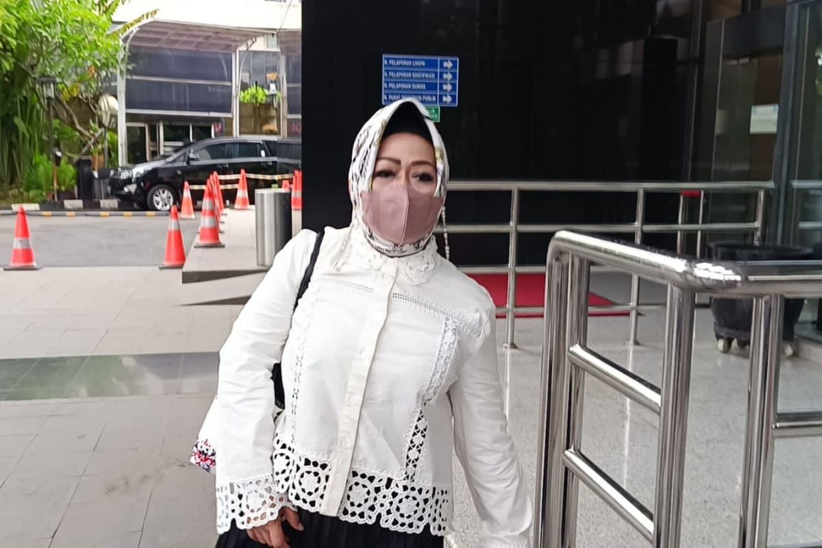 14 Tahun Jadi Kadinkes Lampung, Harta Kekayaan Reihana Mengundang Tanda Tanya Besar, Yuk Intip Selengkapnya