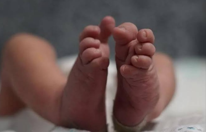 Nekat Buang Bayi, Sepasang Kekasih Asal Mesuji Terancam 7 Tahun Penjara
