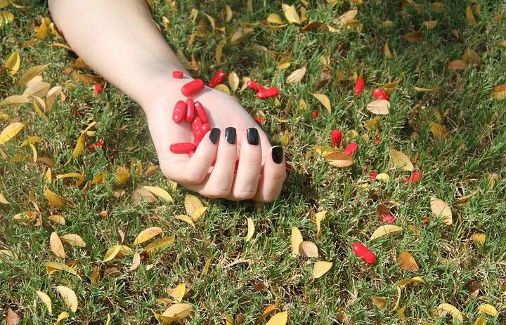 Tanaman Herbal Bisa Berbahaya? Hindari Konsumsi Golongan Berikut Ini