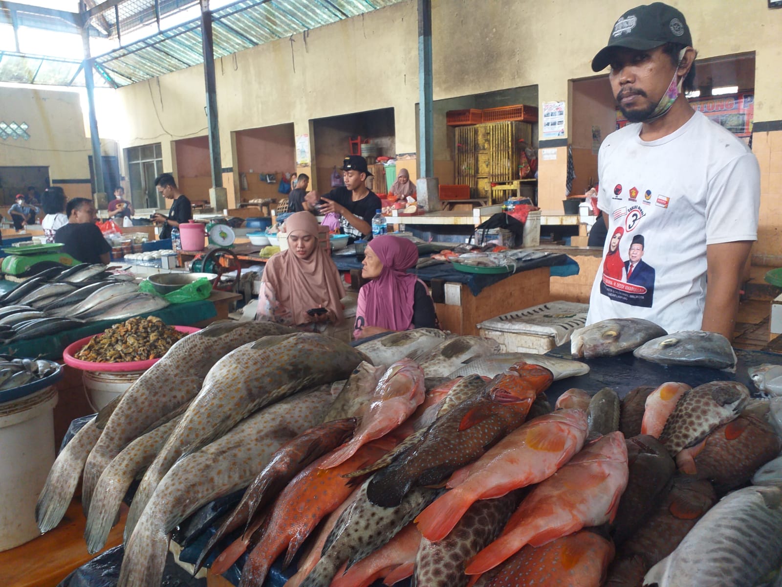 Manfaat Ikan Kerapu, Ternyata Juga Bisa Mempercepat Pemulihan Luka Operasi, Yuk Simak Selengkapnya