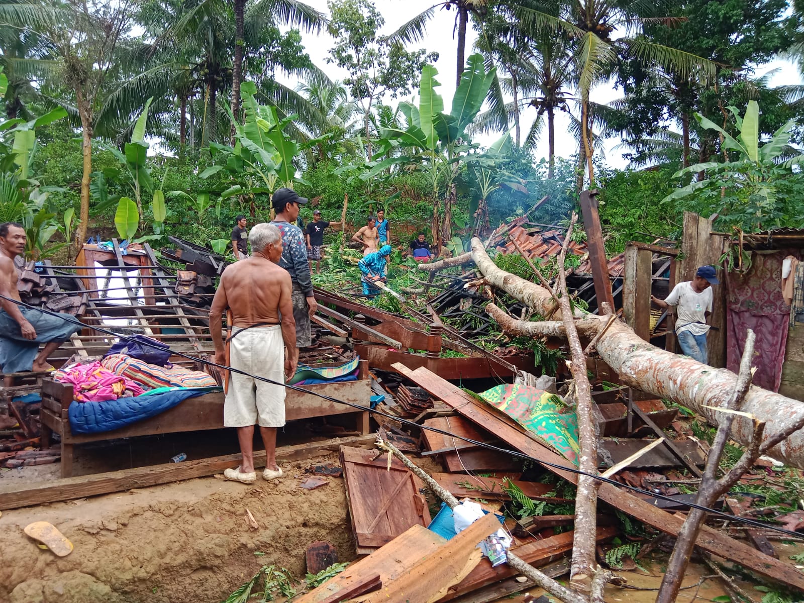Satu Rumah Warga di Pemerihan Pesbar Lampung Hancur Tertimpa Pohon Tumbang