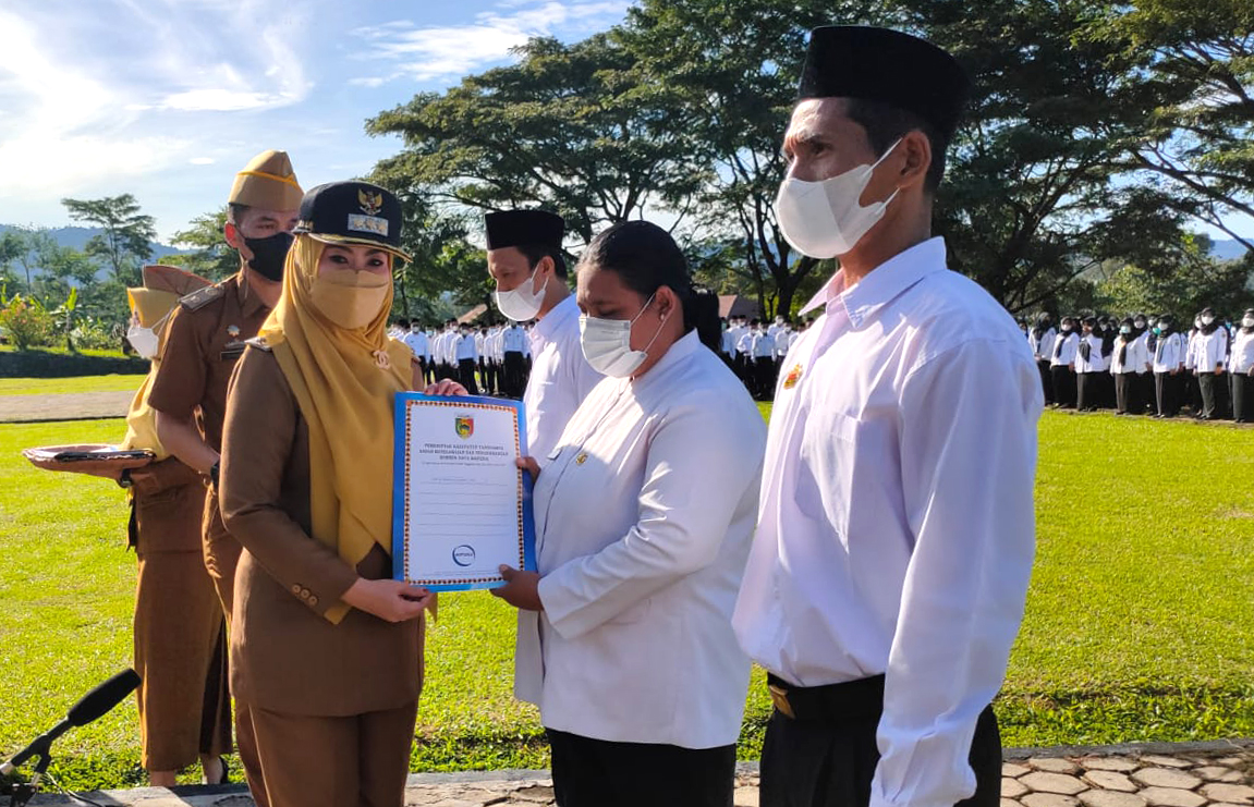 Pemkab Tanggamus Usulkan Rekrutmen PPPK, Diutamakan Honorer Katagori Dua