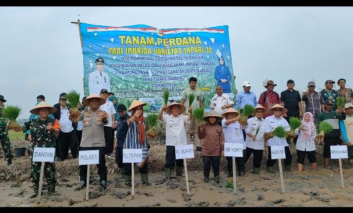 Tanam Perdana Padi Inbrida, Pj Bupati Tulang Bawang: Upaya Kendalikan Inflasi dan Darurat Pangan