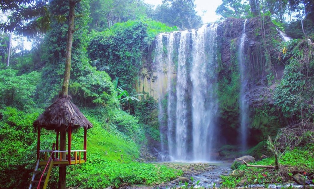 3 Pesona Wisata KPHL Batu Tegi, Hidden Gems Tanggamus, Dari Curug Tirai hingga Dilepasliarkan Kukang