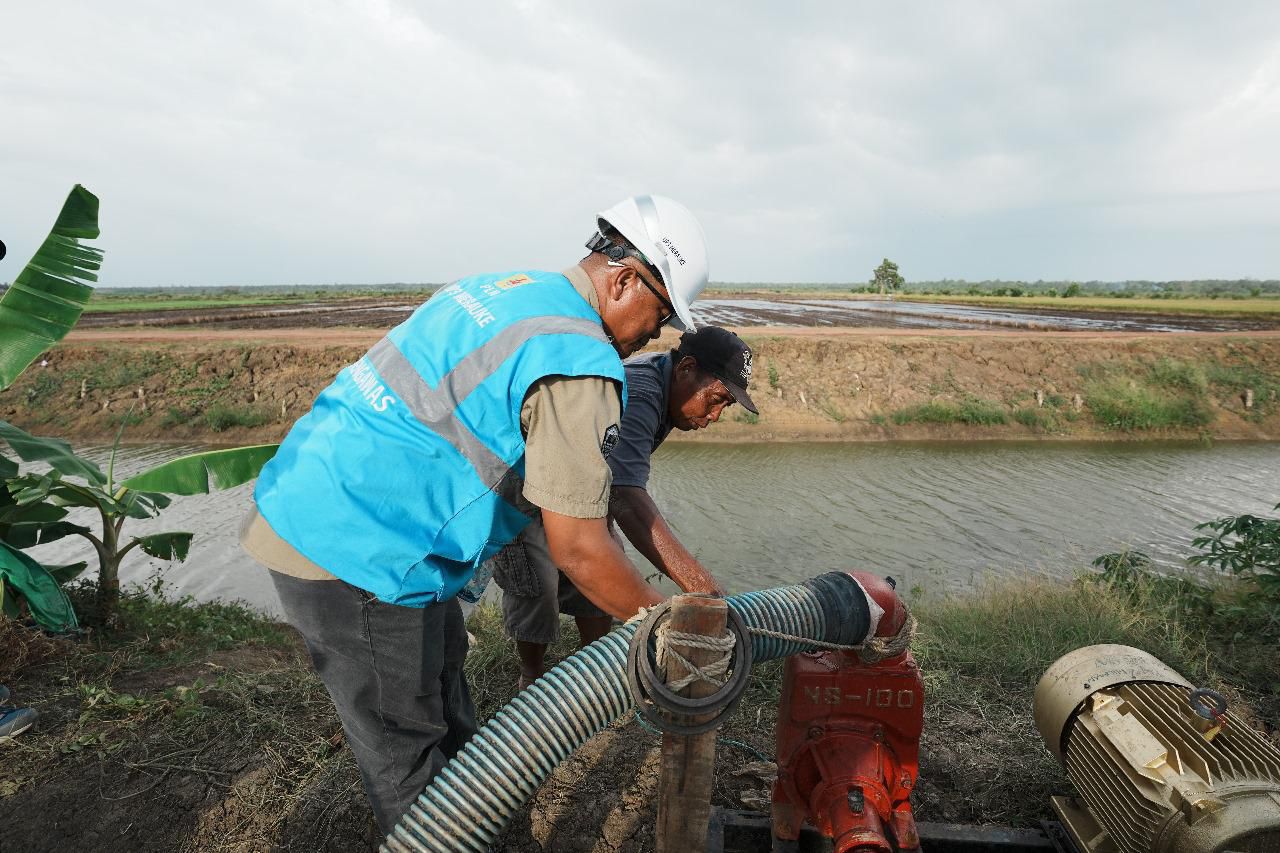 Program Electrifying Agriculture PLN Capai Kinerja Gemilang di 2024, Dorong Modernisasi Sektor Pertanian