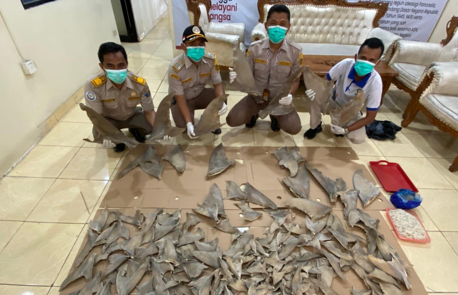 Karantina Gagalkan Upaya Penyeludupan Ratusan Sirip Hiu di Pelabuhan Bakauheni