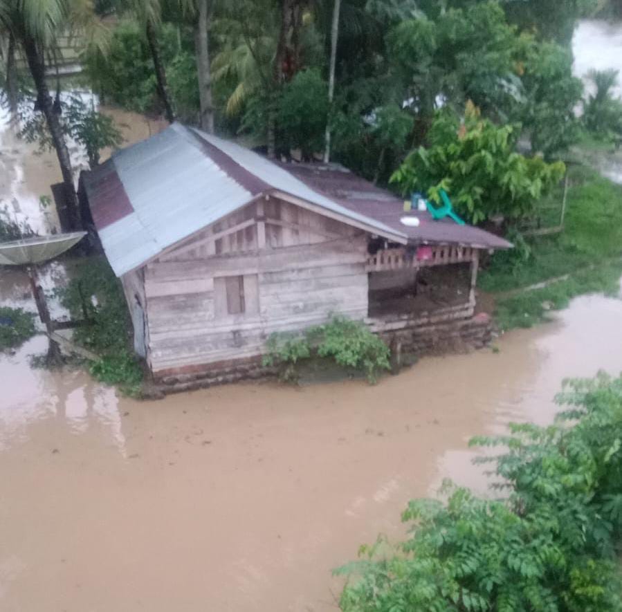 Hujan, 10 Rumah di Way Pedada Pesisir Barat Lampung Meluap Tergenang Banjir