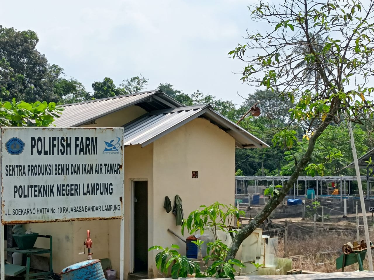 Polifishfarm Polinela Rutin PKM Bidang Perikanan