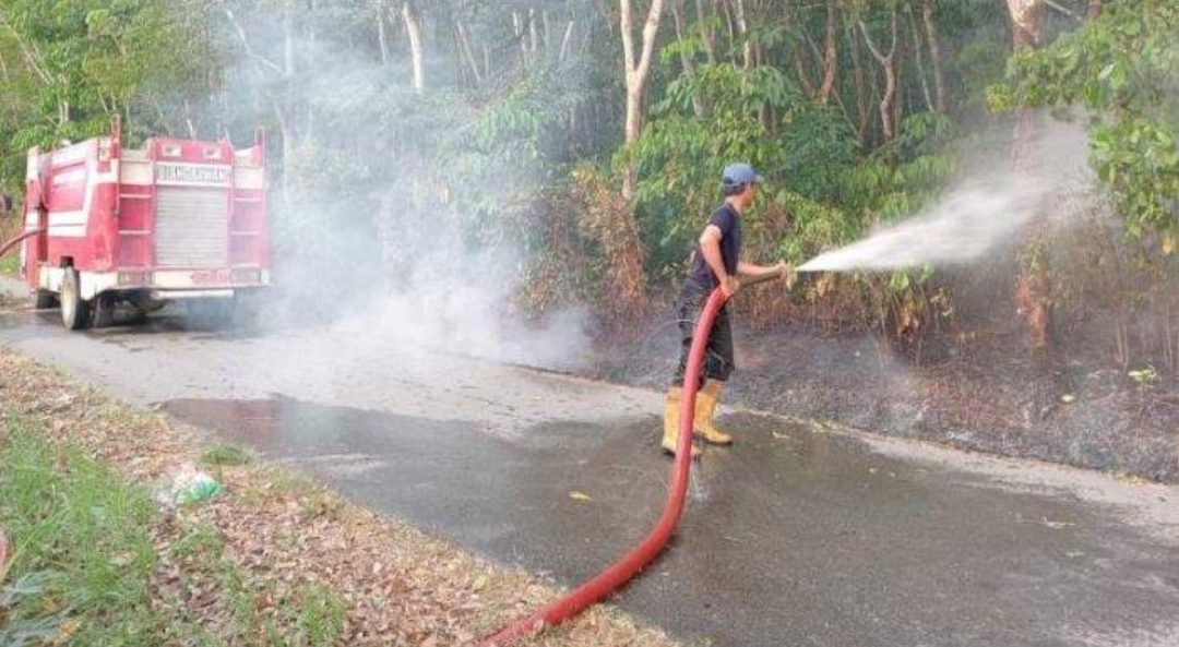 Lahan Perkebunan Karet Dekat Pemukiman Terbakar, Khawatir Meluas Warga Tulang Bawang Lapor Damkar