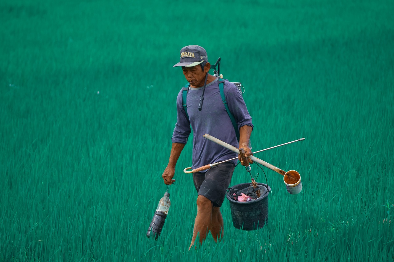 Akademisi Nasional Menilai Pelarangan Gabah Keluar Lampung Tidak Sesuai UU Pangan