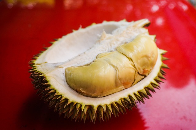 Rekomendasi Kuliner Legendaris di Medan Ada Durian Hingga Sate