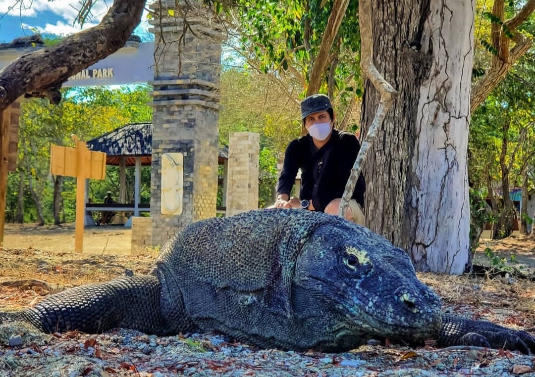 6 Rahasia Liburan Ke Pulau Komodo dengan Hemat, Nomor 1 dan 6 Rahasia yang Paling Jitu
